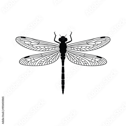 A striking black silhouette of a dragonfly against a white background