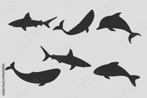 Black and white Shark, dolphin, whale fish vector on white background. Eps 10