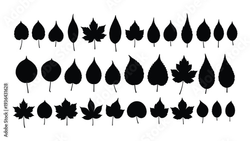 A collection of black leaf silhouettes on a white background