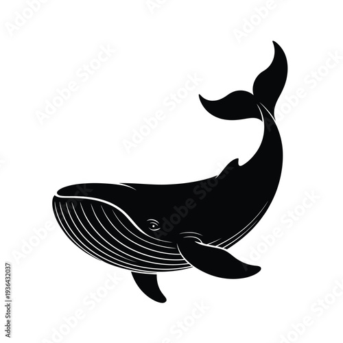 Black and white illustration of a humpback whale swimming gracefully