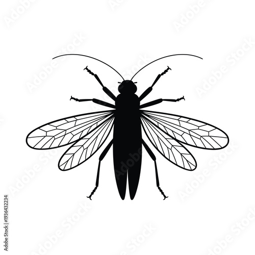 A stylized black silhouette of a bush cricket with detailed wings