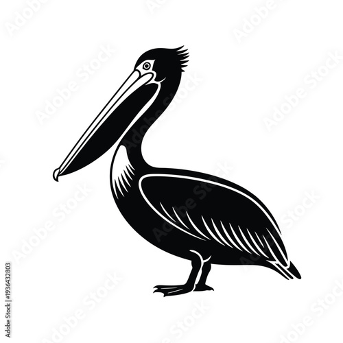 A striking black and white illustration of a pelican in profile