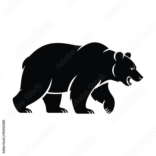 Silhouette of a powerful grizzly bear walking in a natural pose