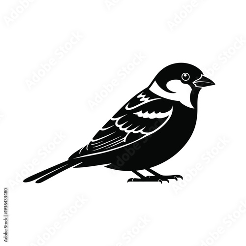 A stylized black and white illustration of a small songbird perched