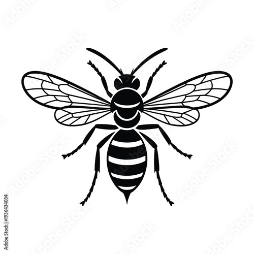A detailed black and white illustration of a honeybee in flight