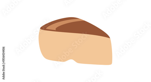 Single Brazil Nut Vector Illustration