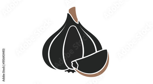 Black garlic bulb and clove vector illustration