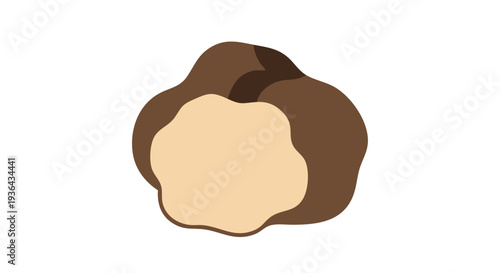 Brown and beige truffle mushroom vector illustration