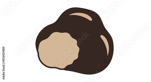 Dark Chocolate Truffle Candy Vector Illustration