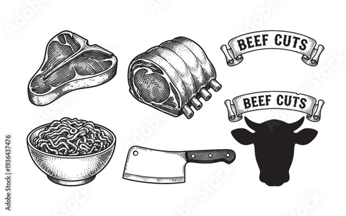 Collection of beef cuts and butcher tools with steak ribs and cleaver sketch