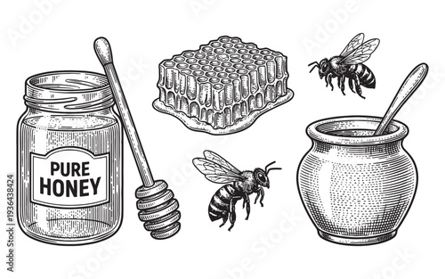 Honey jar, dipper, honeycomb, bees and clover flower engraving vector illustration