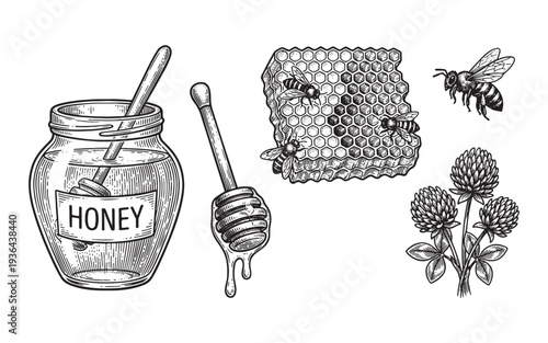 Honey jar, dipper, honeycomb, bees and clover flower engraving vector illustration
