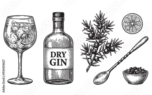 Dry gin bottle, cocktails, juniper berries, jigger and lemon engraving vector illustration