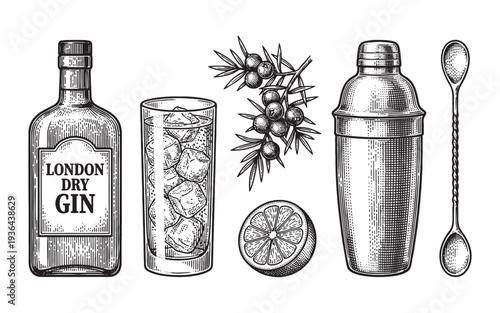 Dry gin bottle, cocktails, juniper berries, jigger and lemon engraving vector illustration