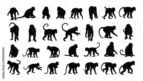 Various monkey silhouettes in different poses and shapes