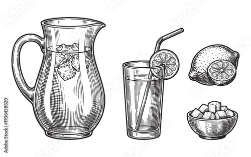 Lemonade pitcher, glass and fruit engraving vector illustration