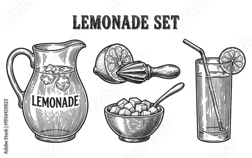 Lemonade pitcher, glass and fruit engraving vector illustration