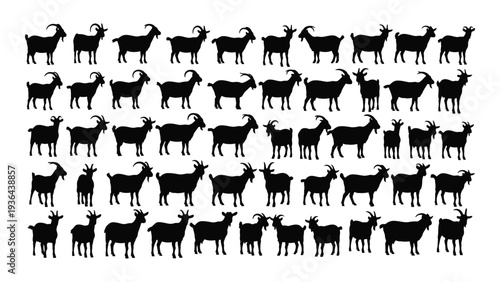 A large group of black goat silhouettes standing in rows