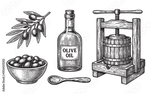 Engraving of a Wooden Press, Bowl, Olive Branch, and Bottle of Oil