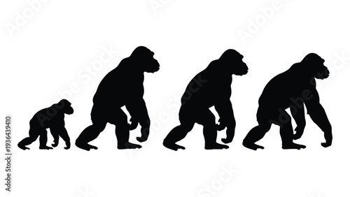 Evolution of a primate species over time
