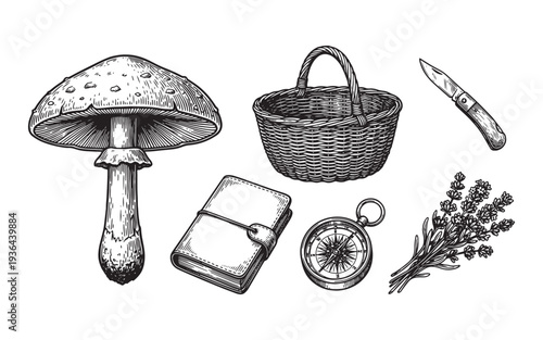 mushroom foraging set with a basket, knife, and book engraving vector illustration