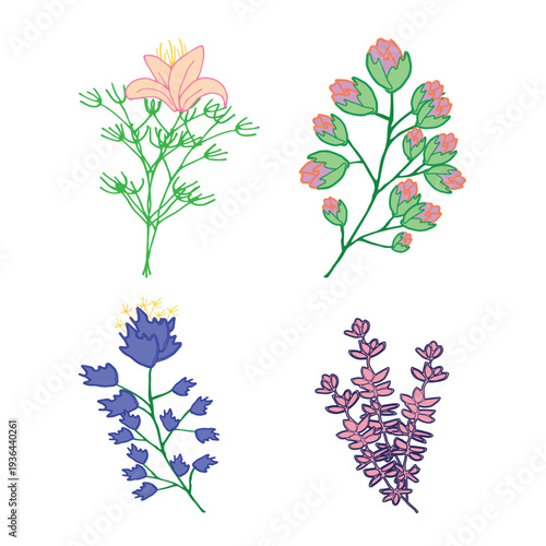 Hand drawn doodle wild flowers set simple decorative botanical illustration