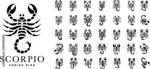 Scorpio zodiac sign line art icons set, minimalist scorpion astrology symbols with modern outline