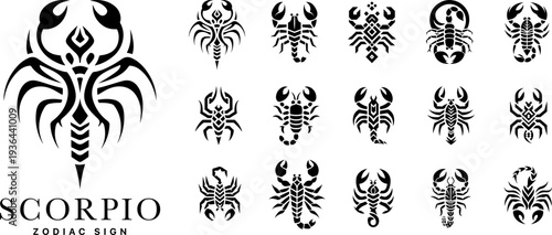 Scorpio zodiac sign decorative silhouette icons, elegant scorpion astrology symbols with fluid shapes