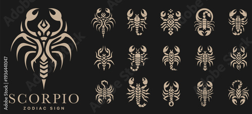 Scorpio zodiac sign decorative silhouette icons, elegant scorpion astrology symbols with fluid shapes
