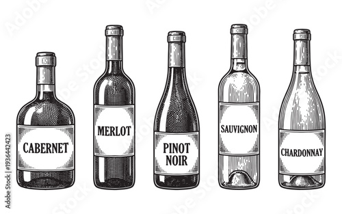 various wine bottles with classic grape varietal labels engraving vector illustration