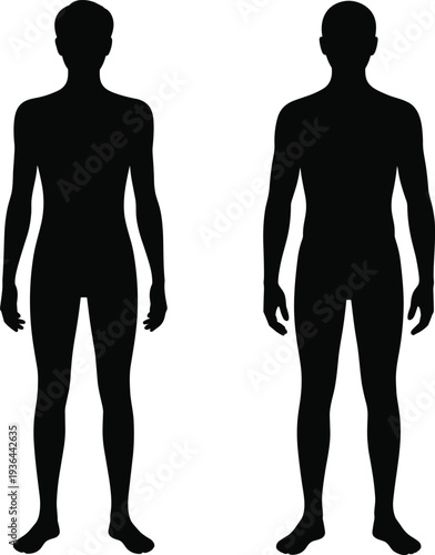 Male and female human body silhouette front view anatomy figures black vector illustration isolated on white background medical reference