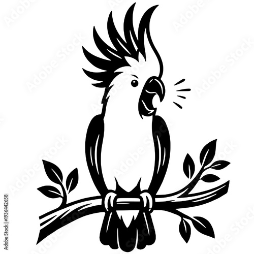 Silhouette of a chattering cockatoo