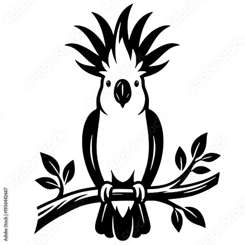 Silhouette of a cockatoo on a branch