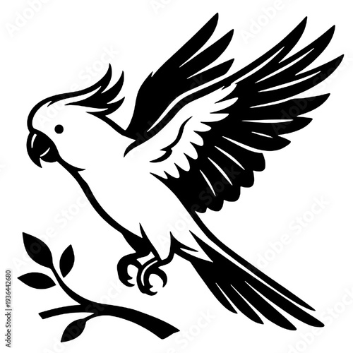 Silhouette of a cockatoo flapping its wings