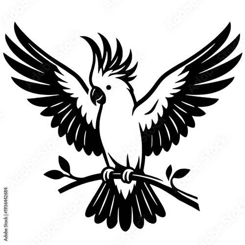 Silhouette of a cockatoo flapping its wings