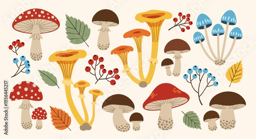 Set of 20 Autumn Forest Mushrooms and Berries Vector Illustrations