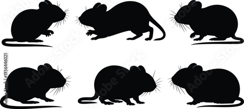 Black silhouette set of mouse and small rodent in various poses, cute field mice icons for pest control and animal nature design