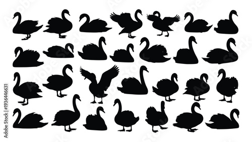 Collection of swan silhouettes on white background