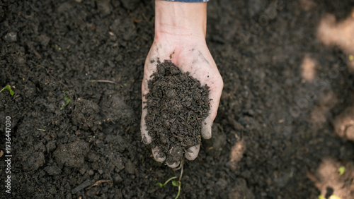 Close-up of a hand holding dark fertile soil over a garden bed, outdoor natural light, gardening and agriculture concept with copy space.