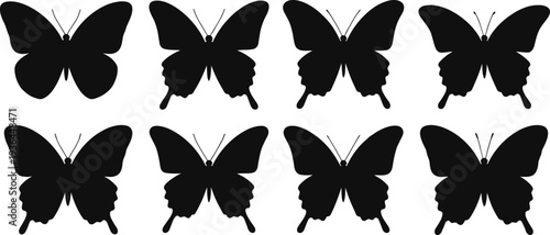 Butterfly silhouettes vector illustration, insect artwork with unique wing shapes, nature design for wildlife, biology, education, decorative themes