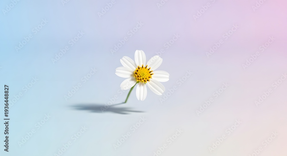 Obraz premium A single white daisy with a yellow center floats against a soft pastel gradient background.
