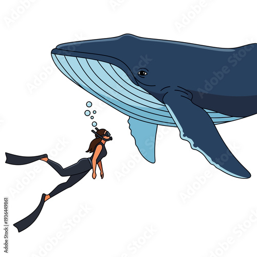 Diver Swims With Giant Blue Whale Underwater, Ocean Wildlife Encounter