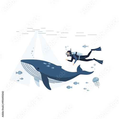 Scuba Diver Explores Giant Blue Whale Underwater with Small Fish and Jellyfish