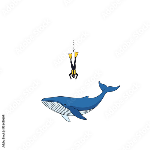 Scuba Diver Exploring Ocean Depths Near Majestic Blue Whale