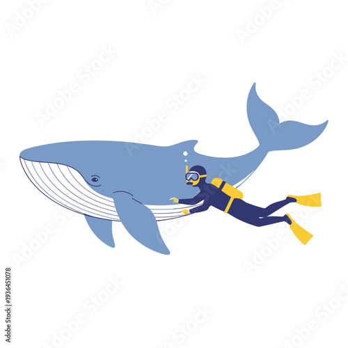 Scuba diver swimming alongside a majestic blue whale underwater