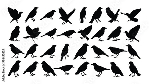 A collection of black bird silhouettes on a white background