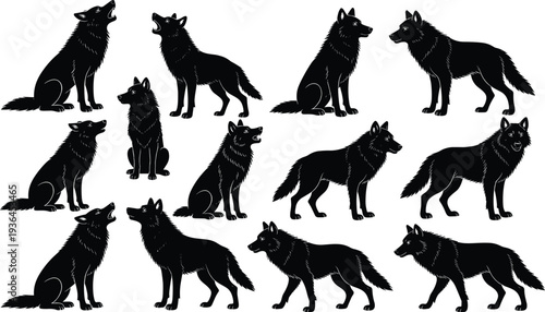 Set of black wolf silhouettes featuring various poses like howling sitting standing and walking for wilderness nature wildlife conservation and outdoor adventure graphic design