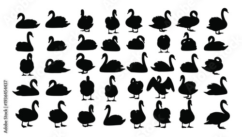 Collection of swan silhouettes in various poses
