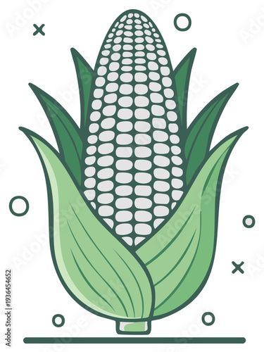 Corn on the cob illustration with green husks, harvest season design