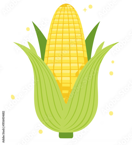 Fresh Yellow Corn on the Cob with Green Husk Vector Illustration